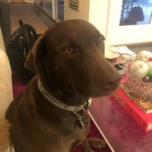 Meet your Posher, Katy